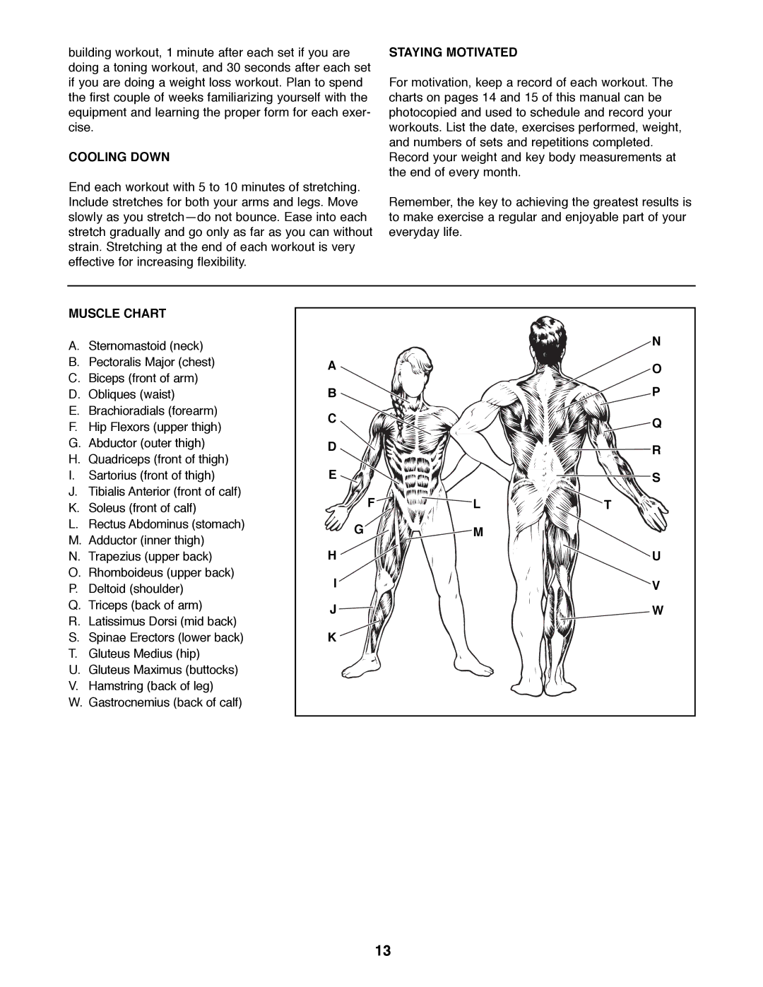 ProForm PFBE19000 manual Cooling Down, Staying Motivated, Muscle Chart 