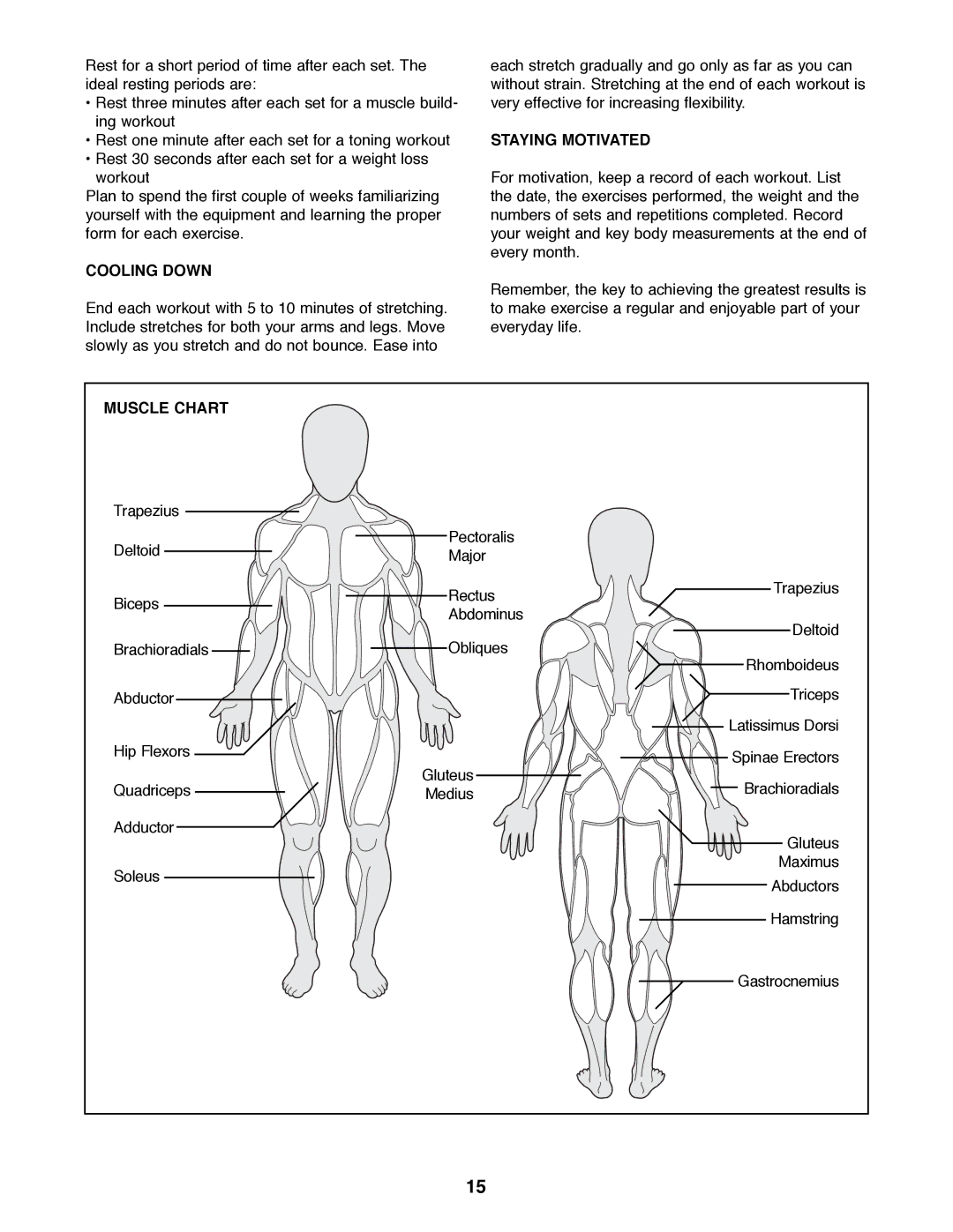 ProForm PFBE62290 manual Cooling Down, Staying Motivated, Muscle Chart 