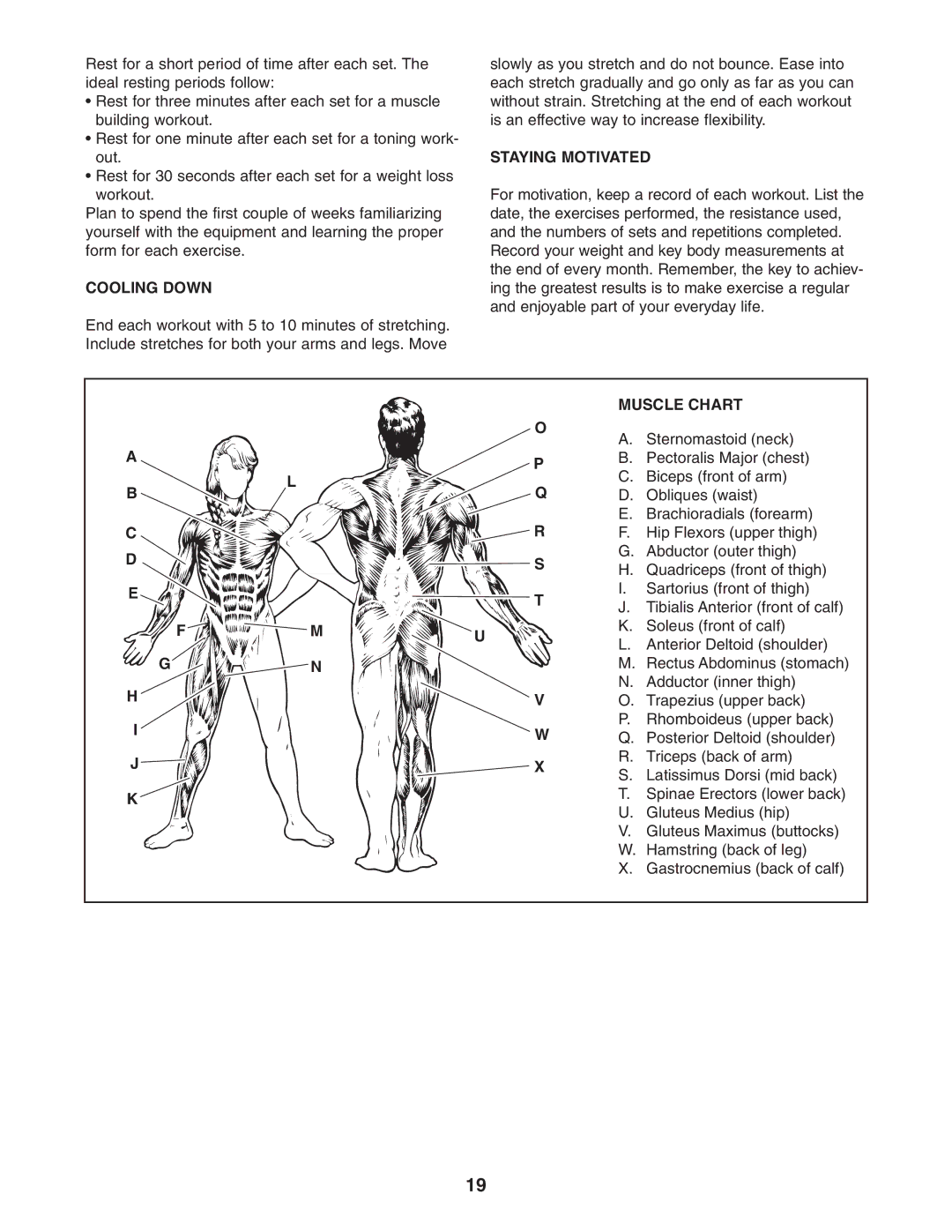 ProForm PFSY6806.0 user manual Cooling Down, Staying Motivated, Muscle Chart 