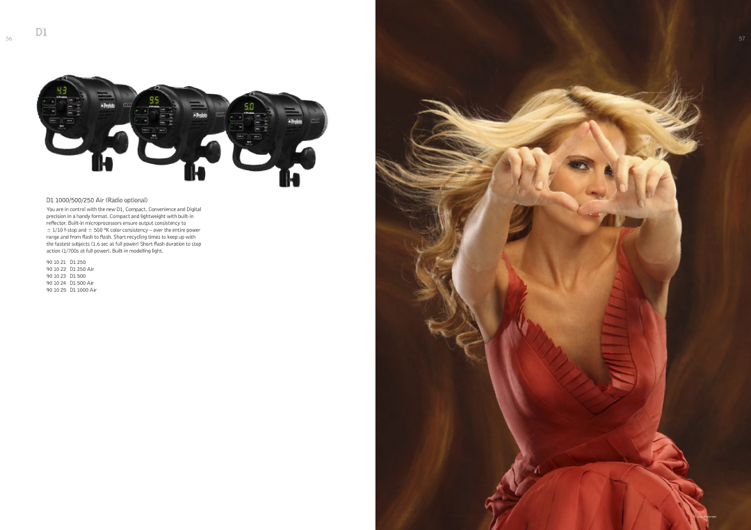 Profoto 250 W, 500 W manual D1 1000/500/250 Air Radio optional 