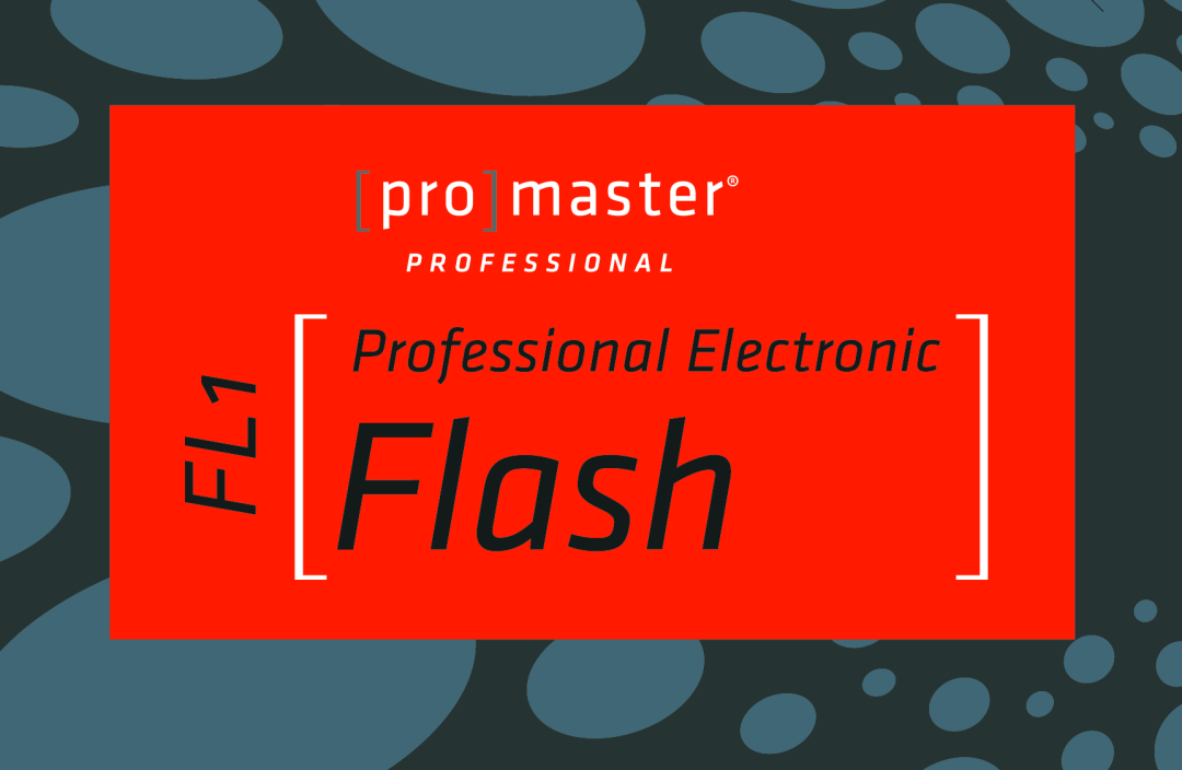 ProMaster FL1 Pro (Canon), FL1 Pro (Nikon) instruction manual Instruction Manual, Power Zoom AF DSLR Flash, DF-383 