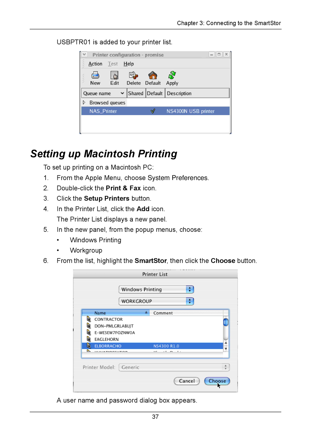 Promise Technology NS4300N manual Setting up Macintosh Printing 