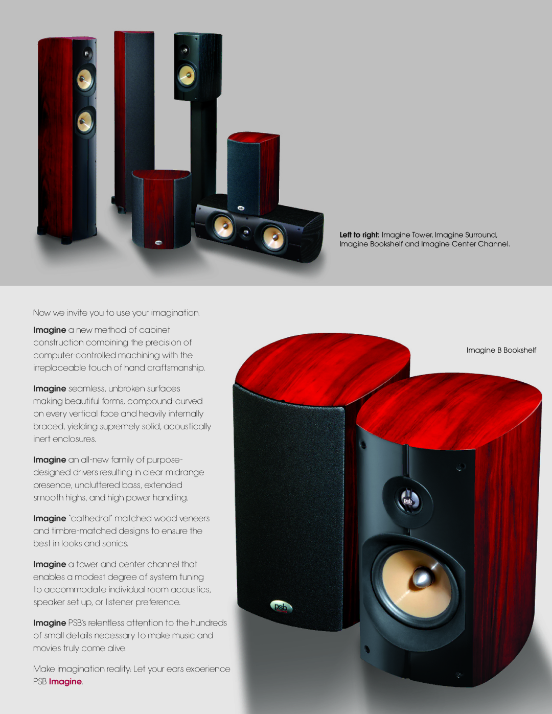 PSB Speakers Loudspeakers manual 