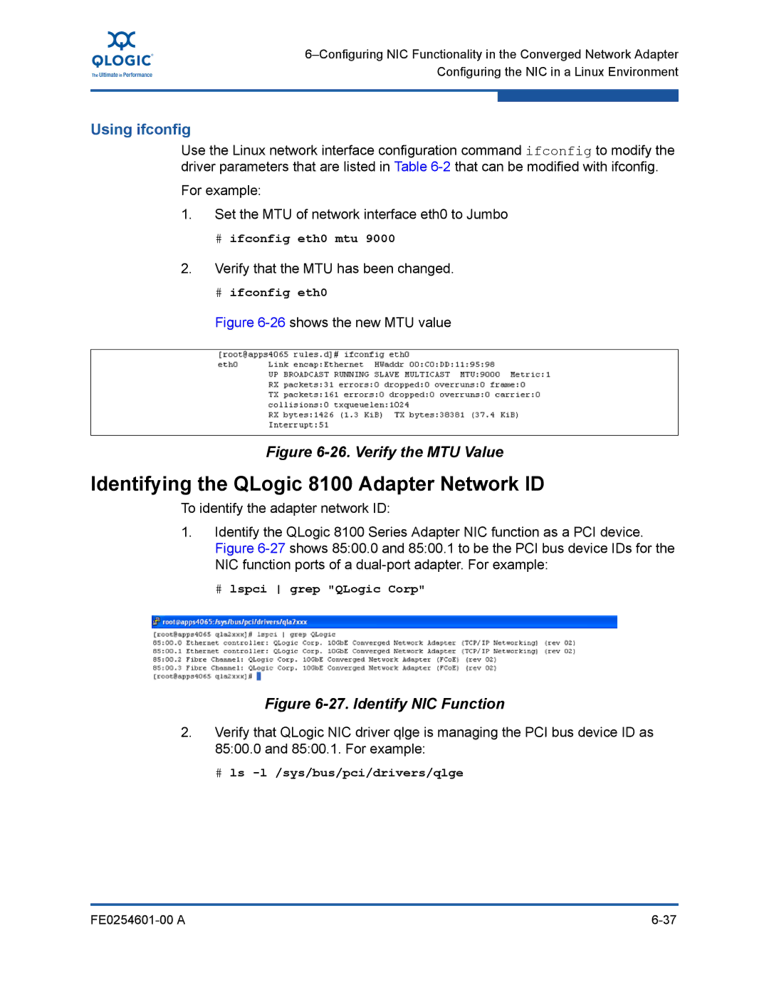 Q-Logic 8100 SERIES manual Identifying the QLogic 8100 Adapter Network ID, Using ifconfig 