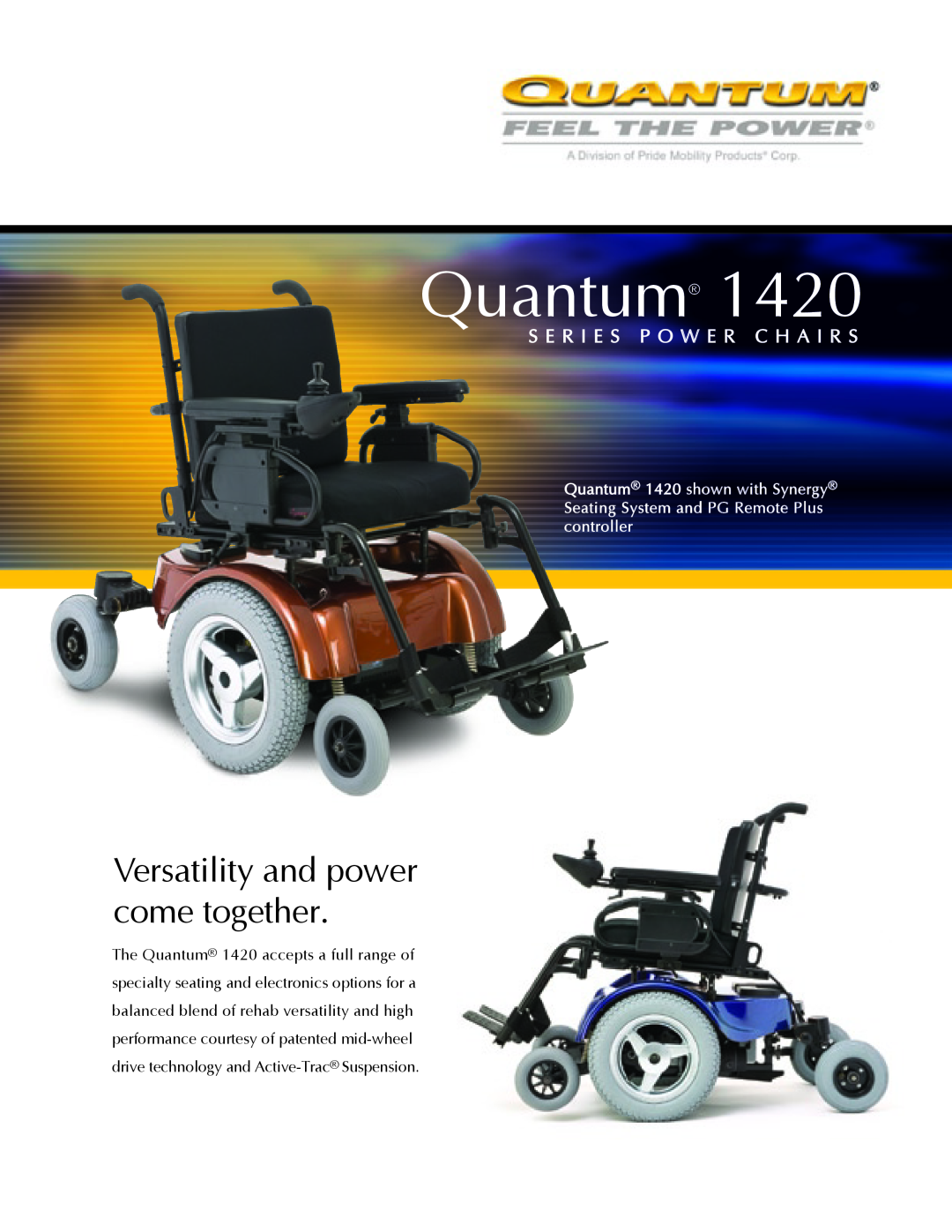 Quantum 1420 manual 1650, 600 XL, 6000 XL, Electronic, regenerative 