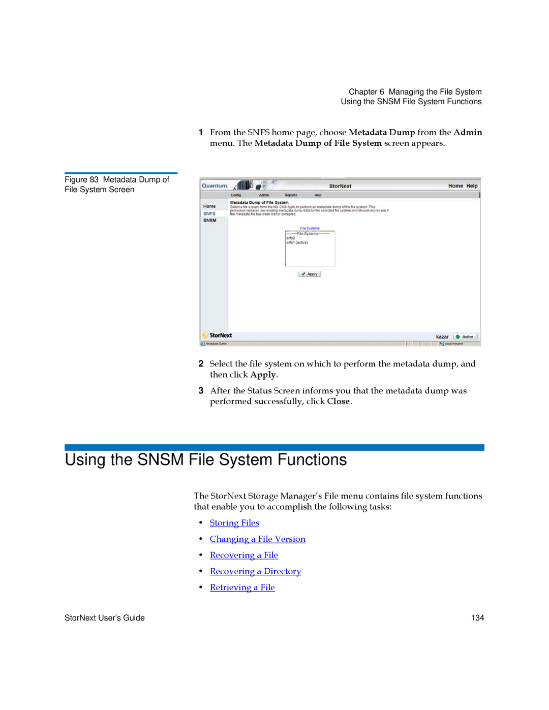 Quantum 3.5.1 manual Using the Snsm File System Functions, Metadata Dump File System Screen 