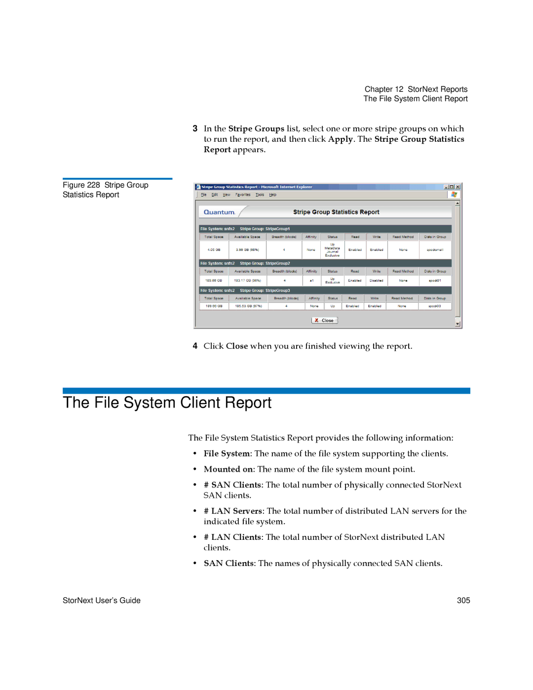 Quantum 3.5.1 manual File System Client Report 