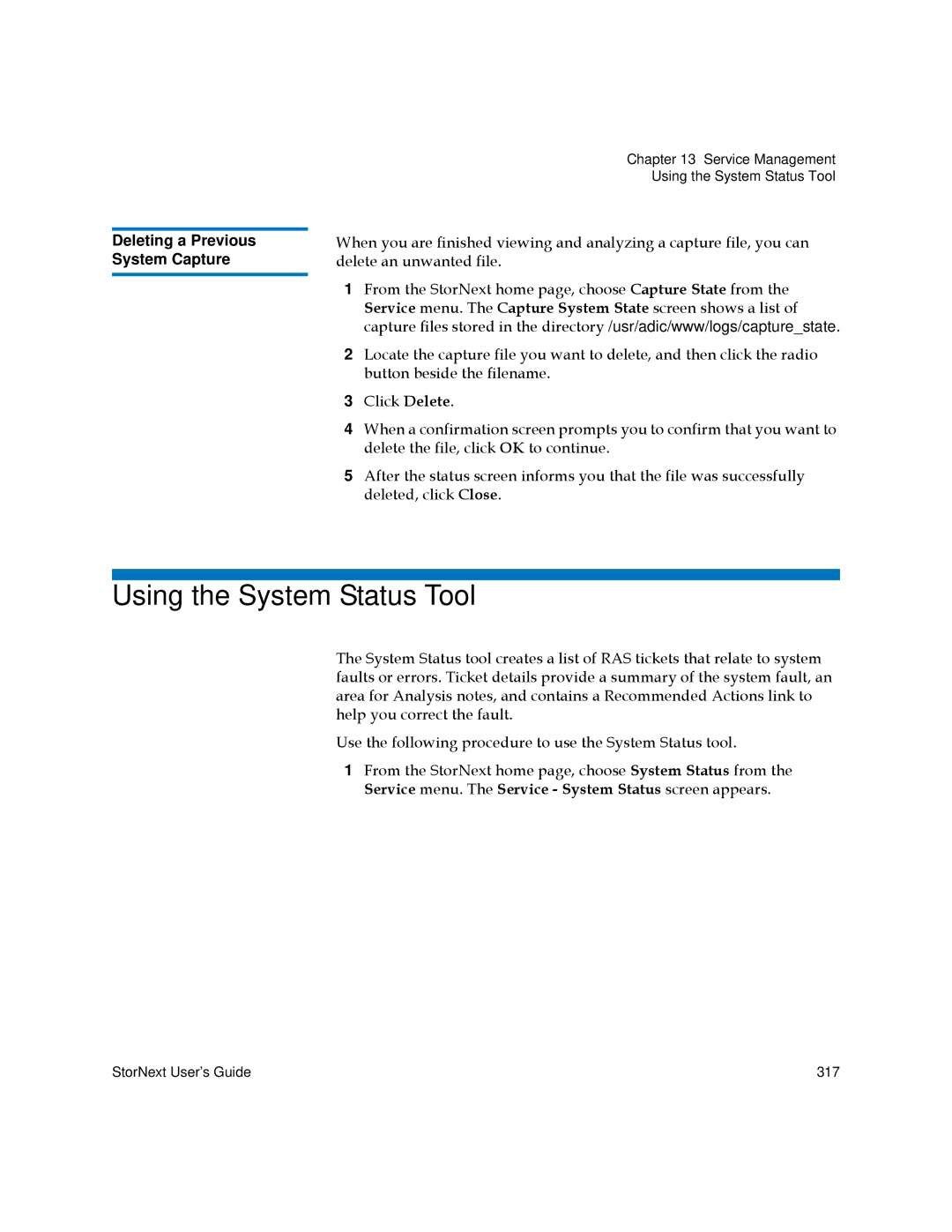 Quantum 3.5.1 manual Using the System Status Tool, Deleting a Previous System Capture 