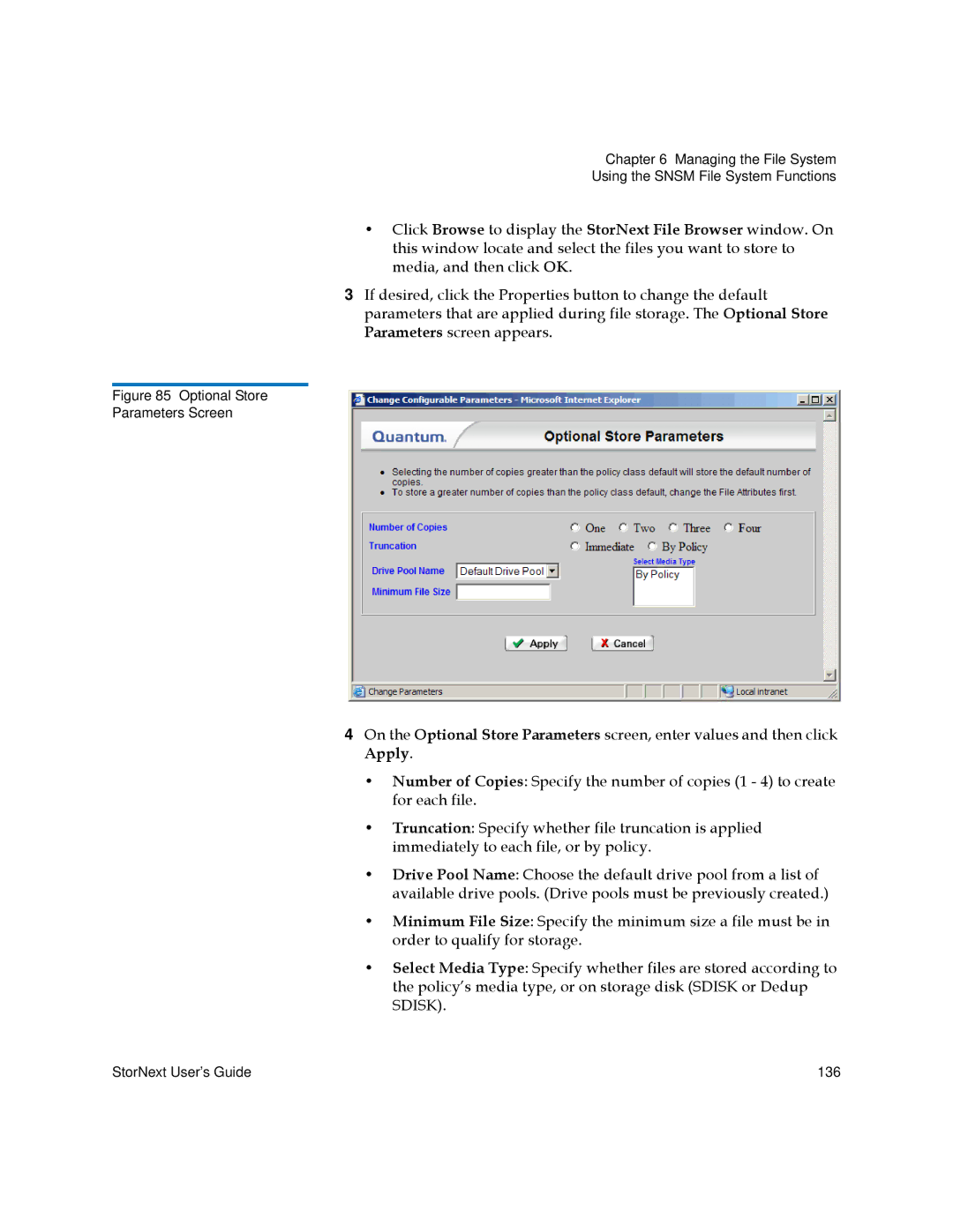 Quantum 3.5.2 manual Optional Store Parameters Screen 