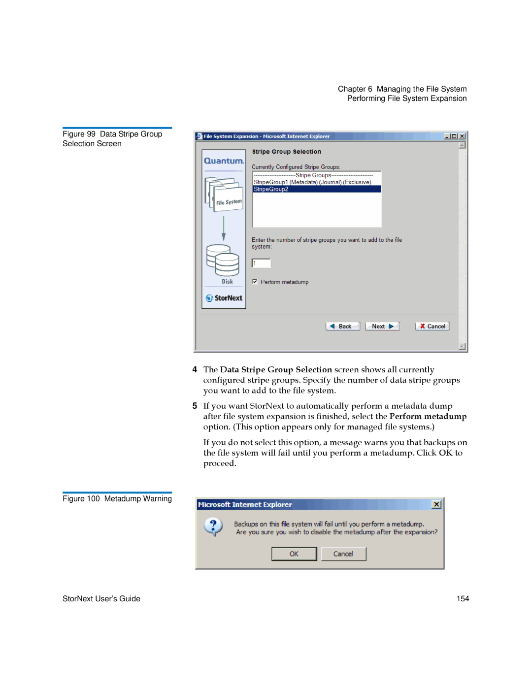 Quantum 3.5.2 manual Data Stripe Group Selection Screen 