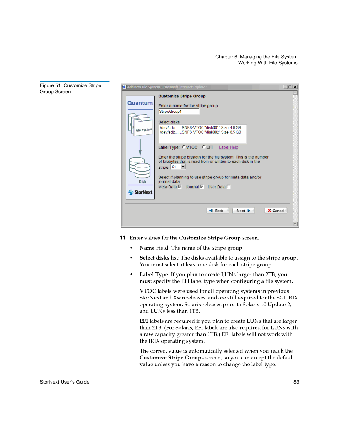 Quantum 6-01658-01 manual Customize Stripe Group Screen 