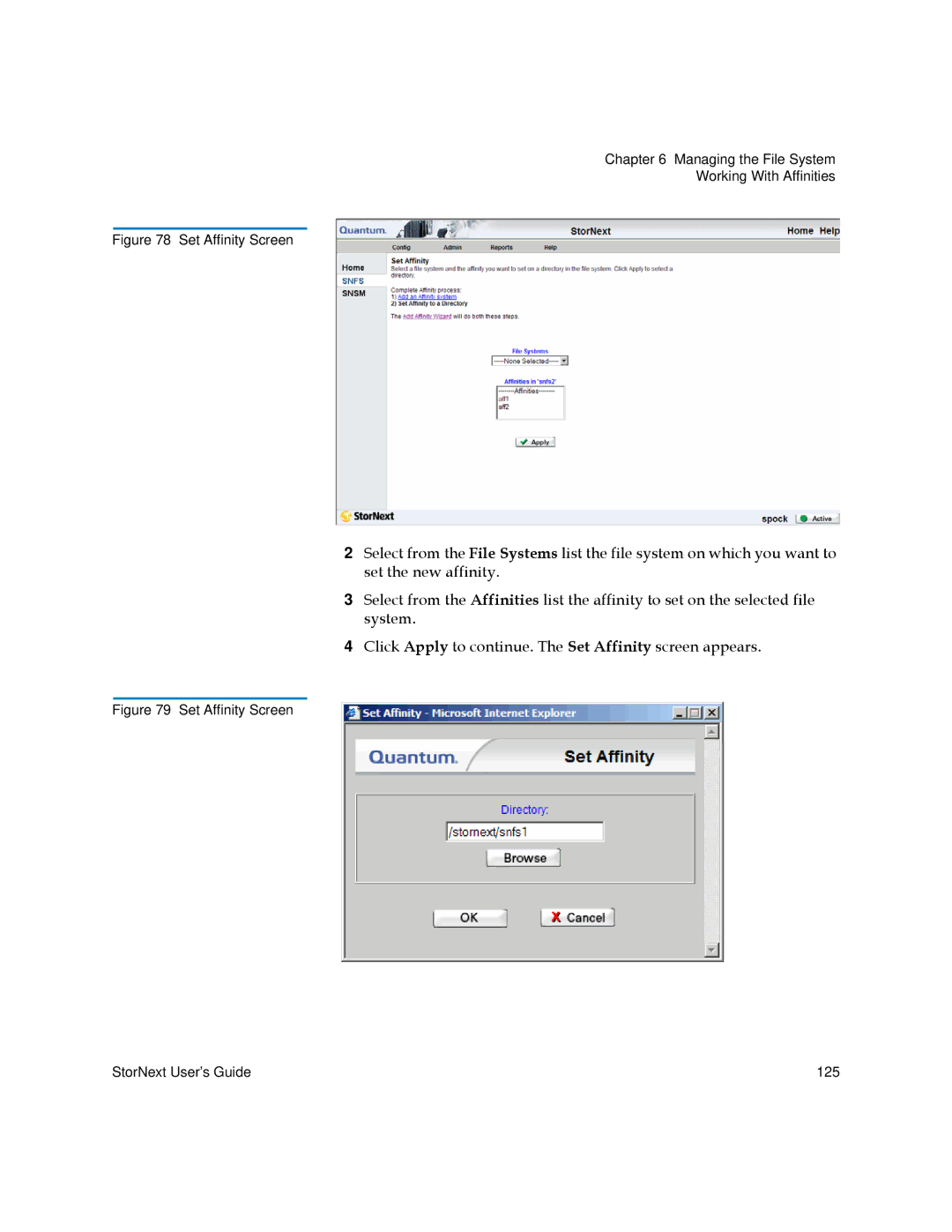 Quantum 6-01658-01 manual Set Affinity Screen 