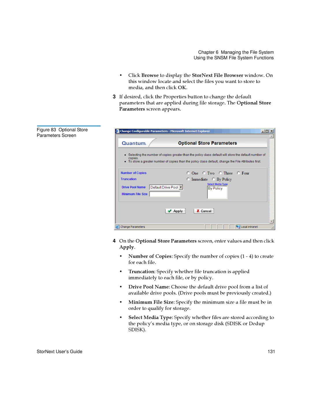 Quantum 6-01658-01 manual Optional Store Parameters Screen 