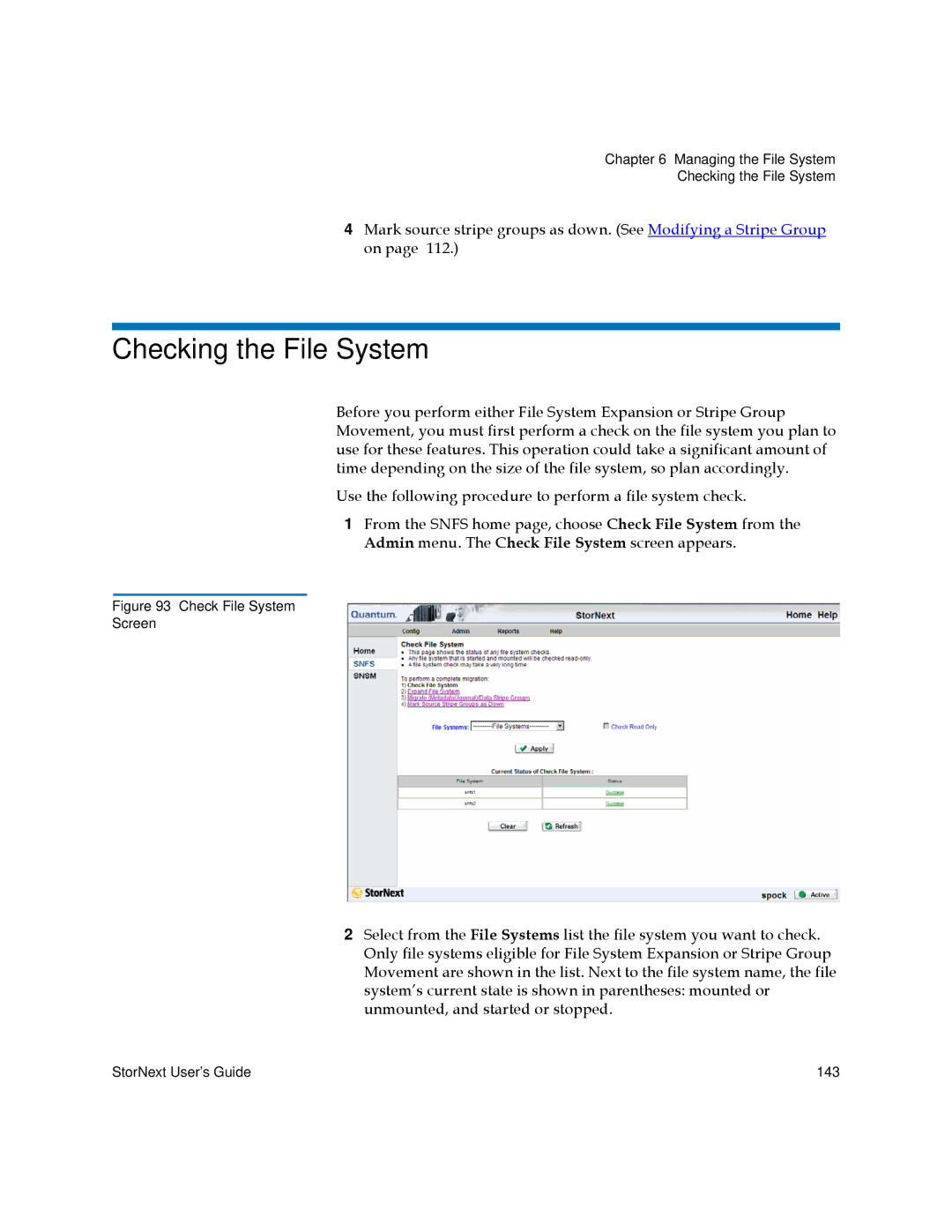 Quantum 6-01658-01 manual Checking the File System, Check File System Screen 