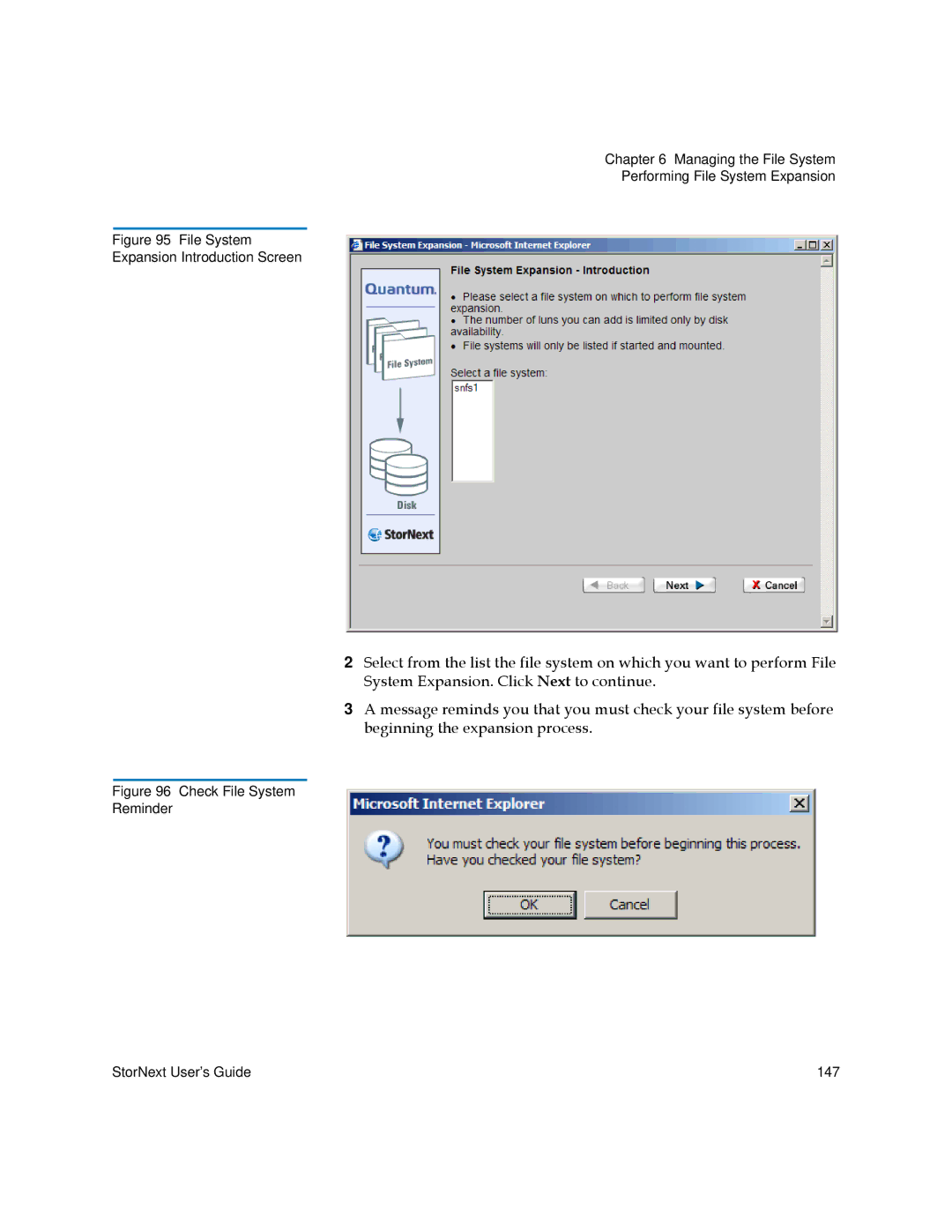 Quantum 6-01658-01 manual File System Expansion Introduction Screen 