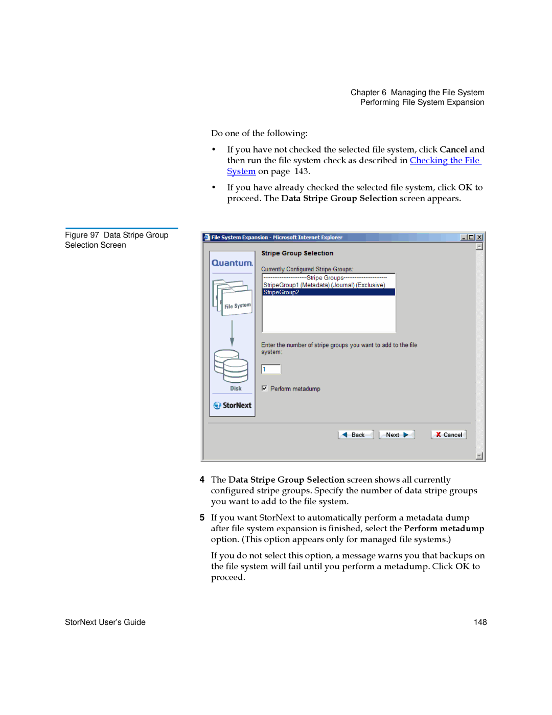 Quantum 6-01658-01 manual Data Stripe Group Selection Screen 