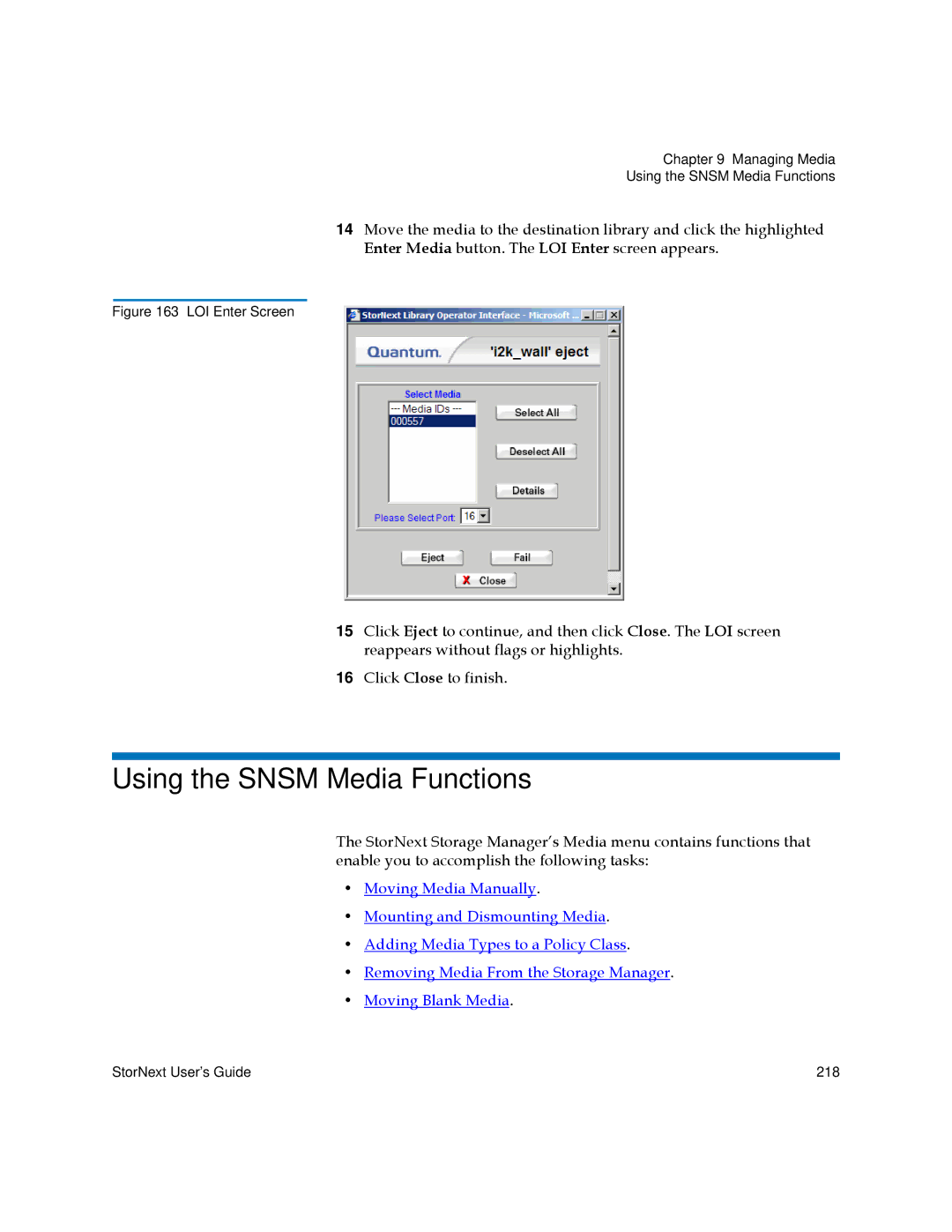 Quantum 6-01658-01 manual Using the Snsm Media Functions, LOI Enter Screen 