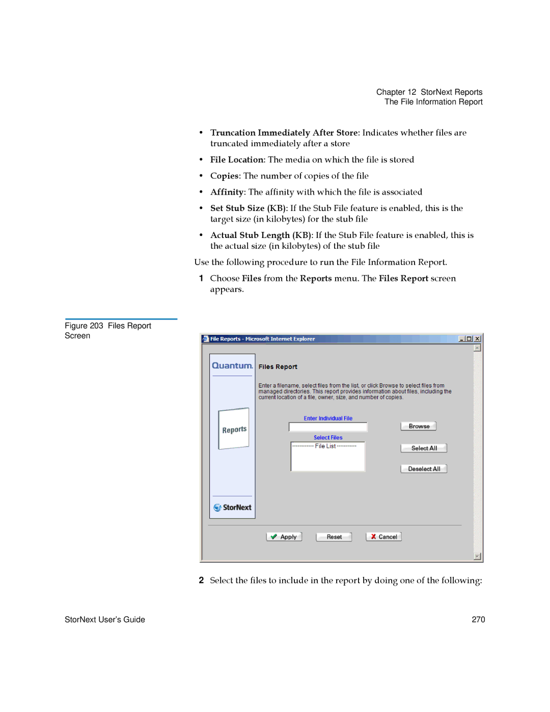 Quantum 6-01658-01 manual Files Report Screen 