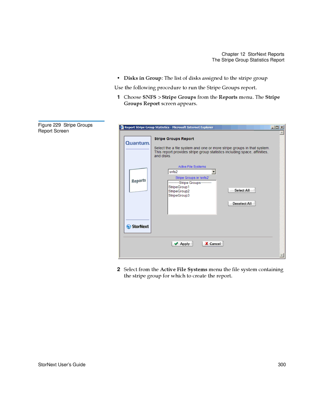 Quantum 6-01658-01 manual Stripe Groups Report Screen 