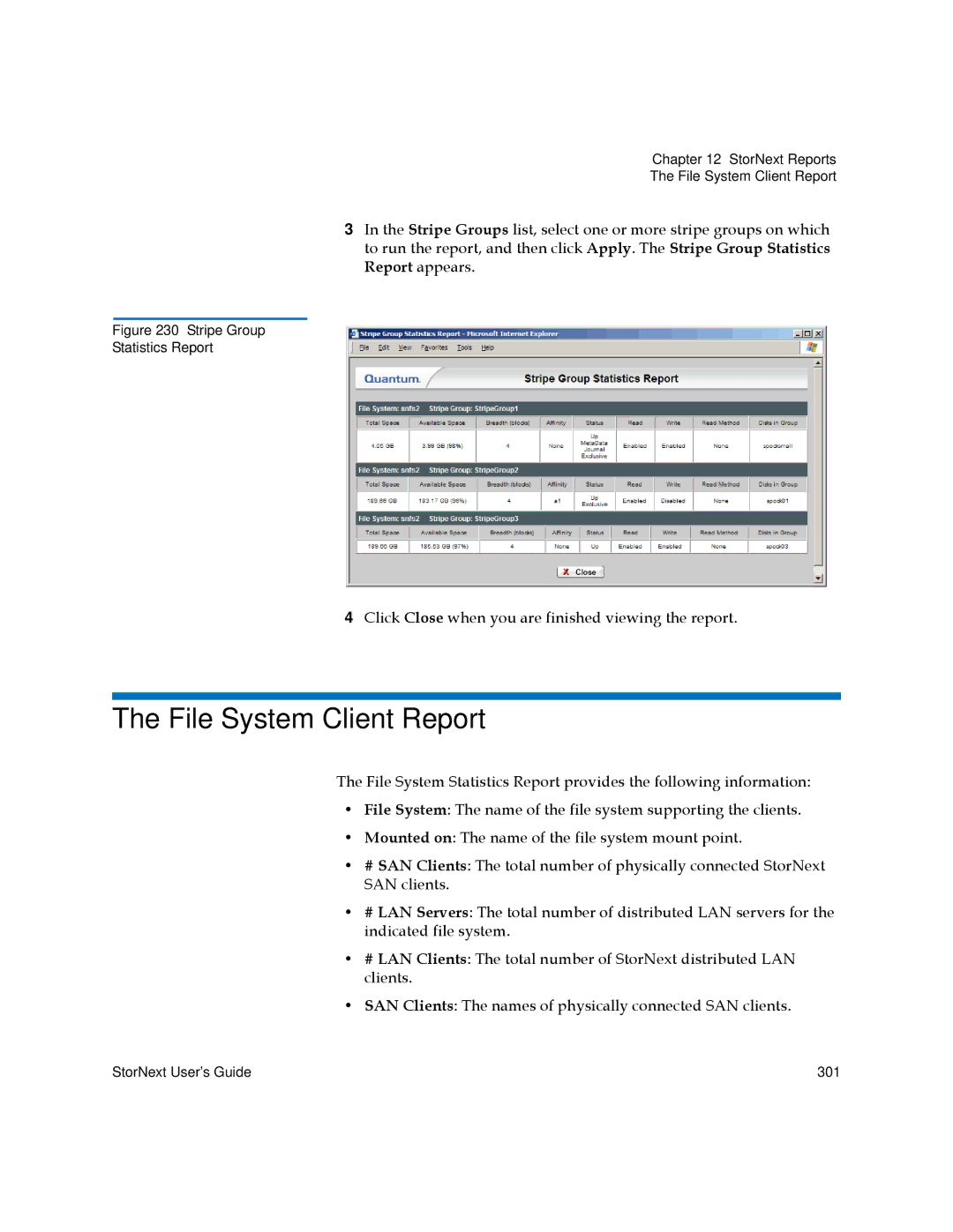 Quantum 6-01658-01 manual File System Client Report 