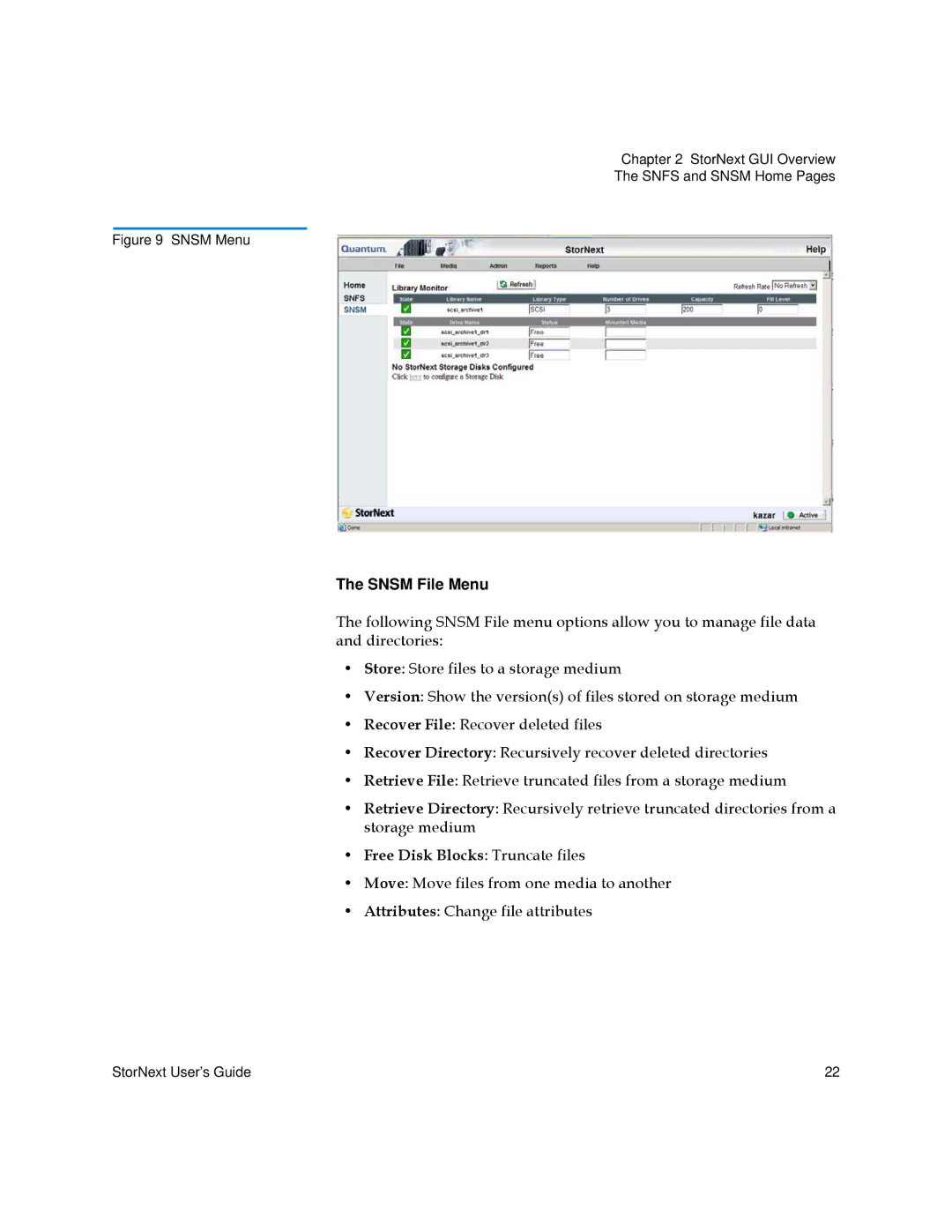 Quantum 6-01658-01 manual Snsm File Menu, Free Disk Blocks Truncate files 