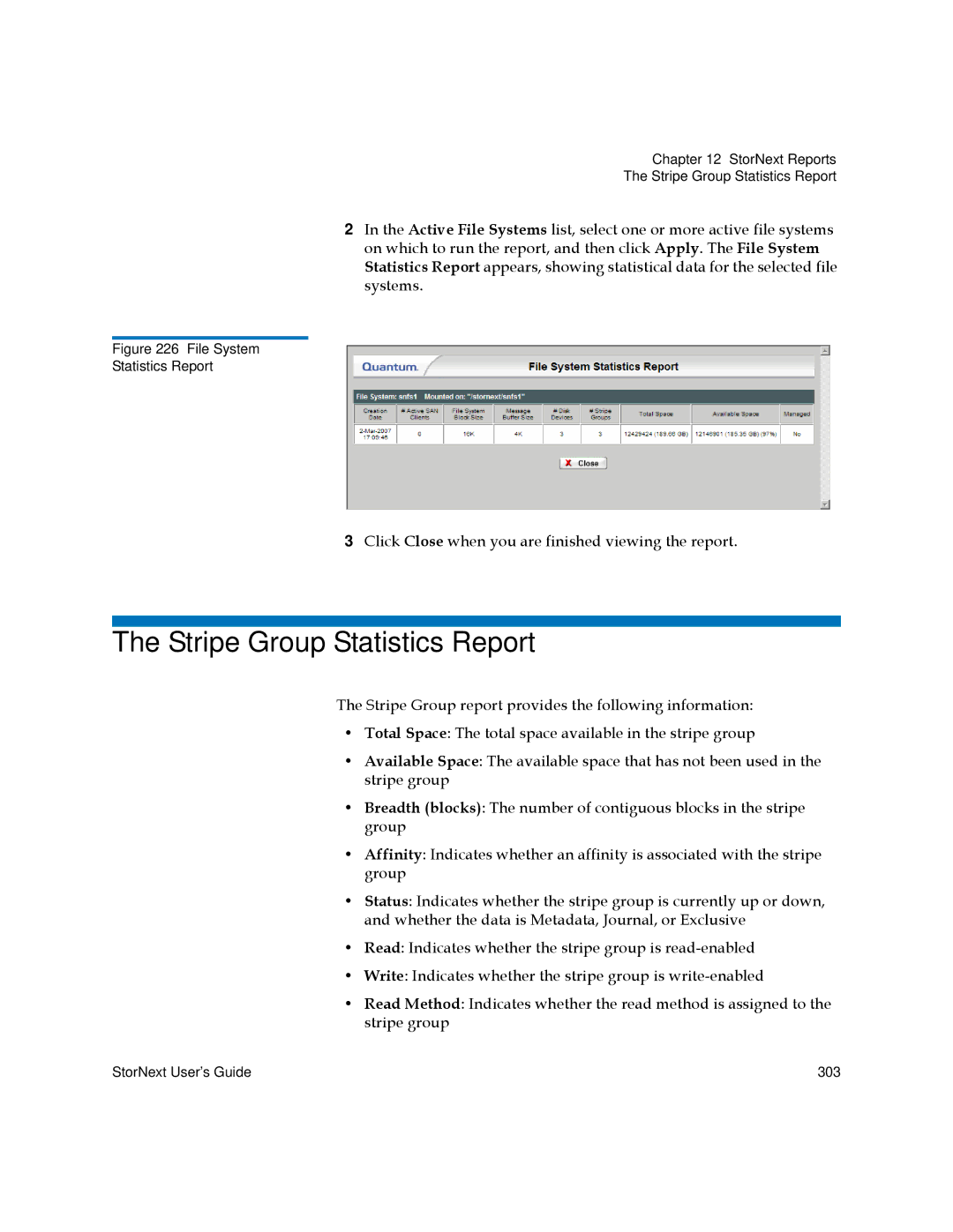 Quantum 6-01658-05 manual Stripe Group Statistics Report 