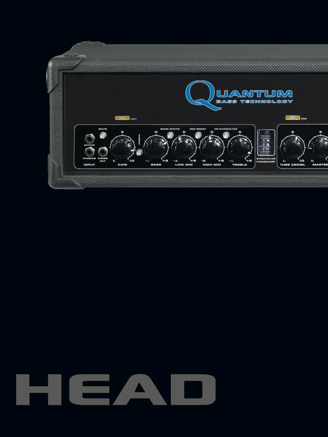 Quantum QC 310 manual Head 