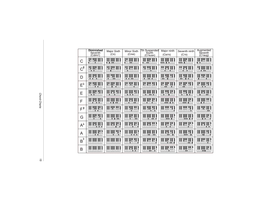 Radio Shack MD500 owner manual Diminished 