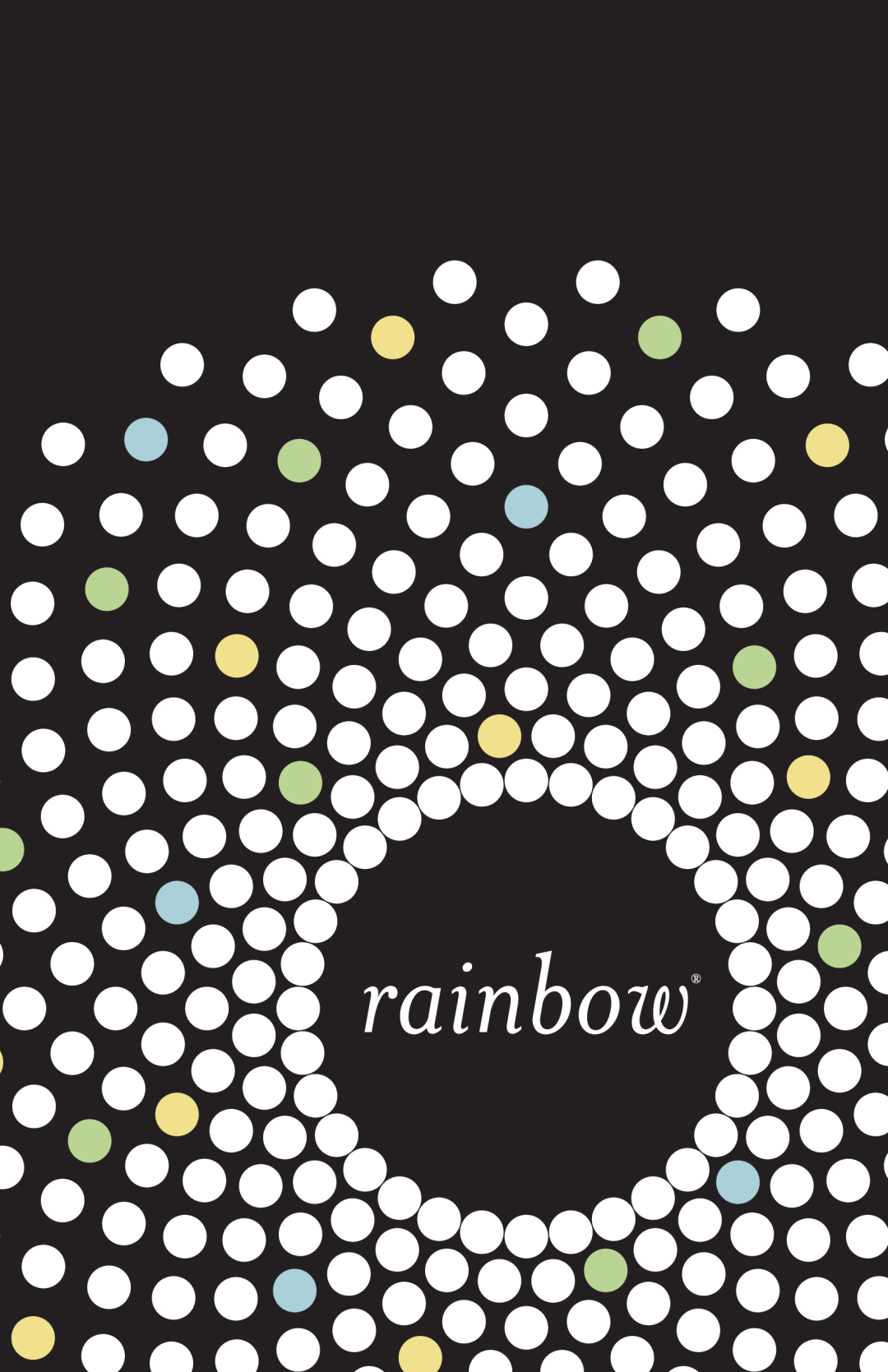 Rainbow Technologies RAINBOWE2 manual 