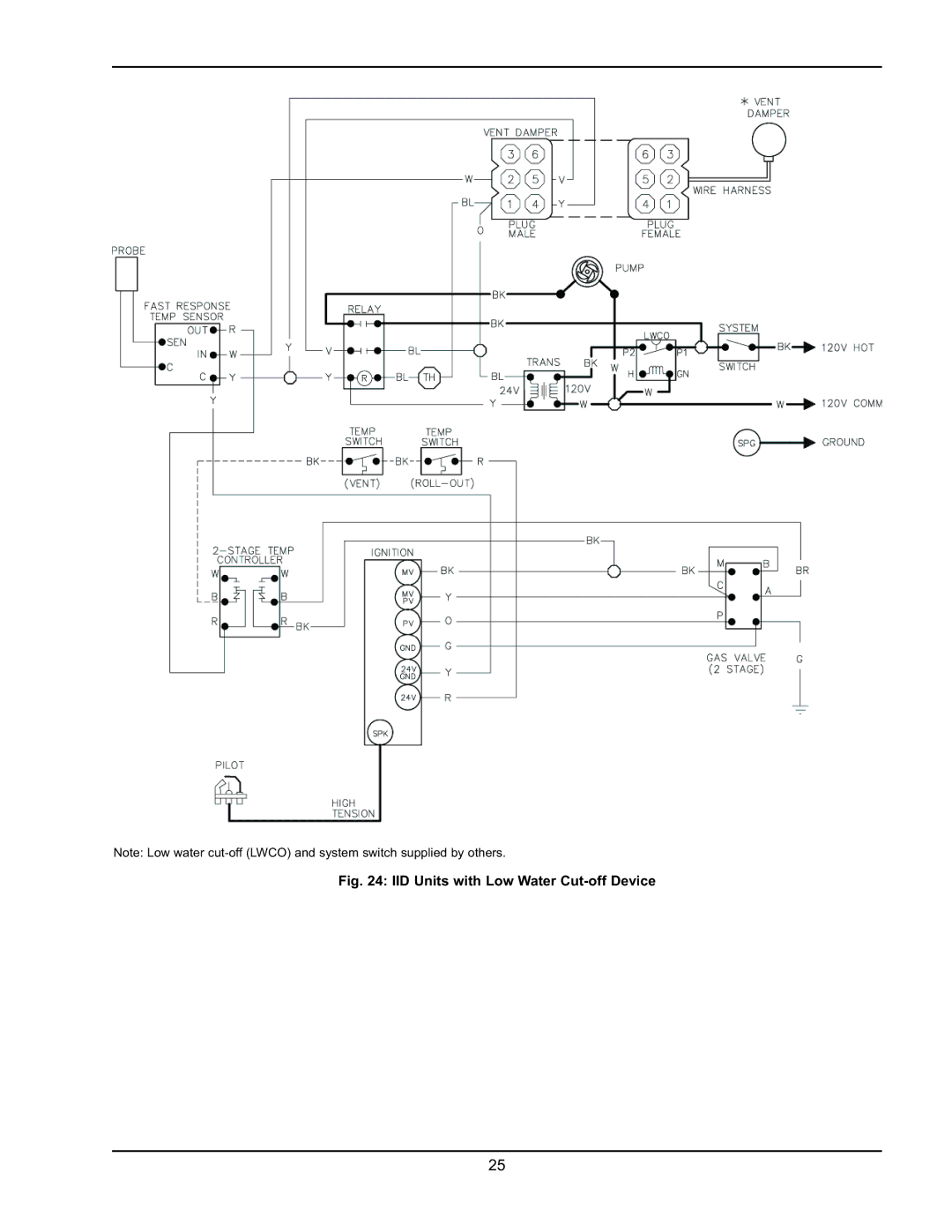 Raypak 0180B, 0066B, 0042B manual IID Units with Low Water Cut-off Device 