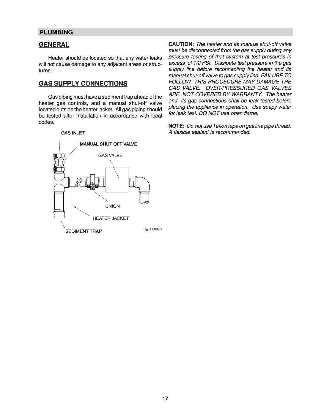 Raypak 0133-4001 manual Plumbing, General, Gas Supply Connections 