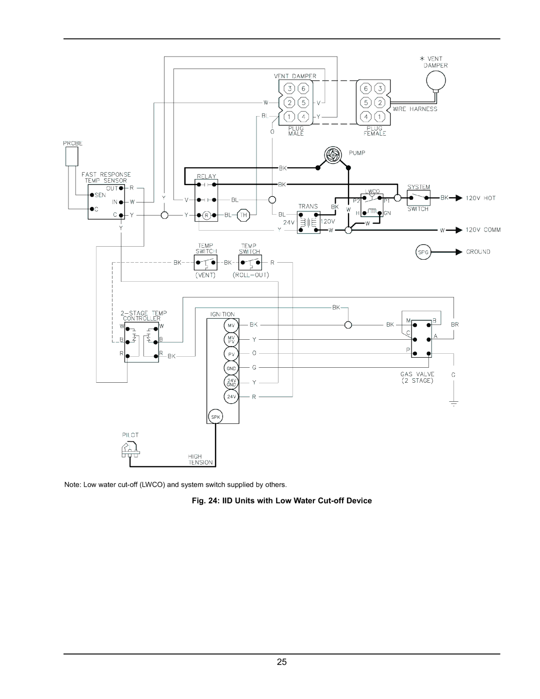 Raypak 0180B Type H manual IID Units with Low Water Cut-off Device 