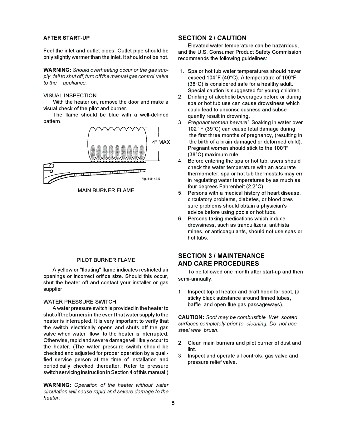 Raypak 055B Maintenance Care Procedures, After START-UP, Visual Inspection, Main Burner Flame Pilot Burner Flame 