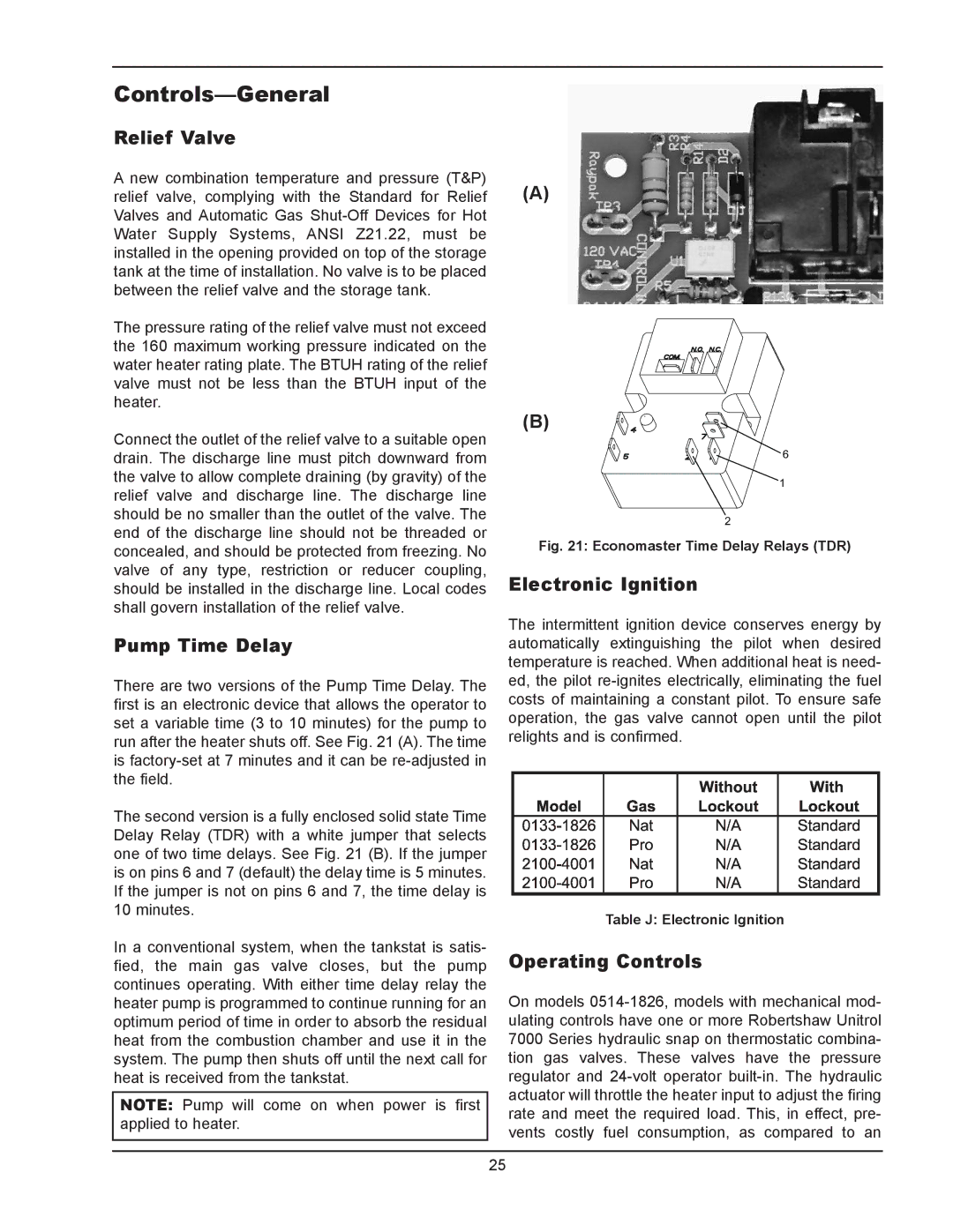 Raypak 1334001 Controls-General, Relief Valve, Pump Time Delay, Electronic Ignition, Operating Controls 