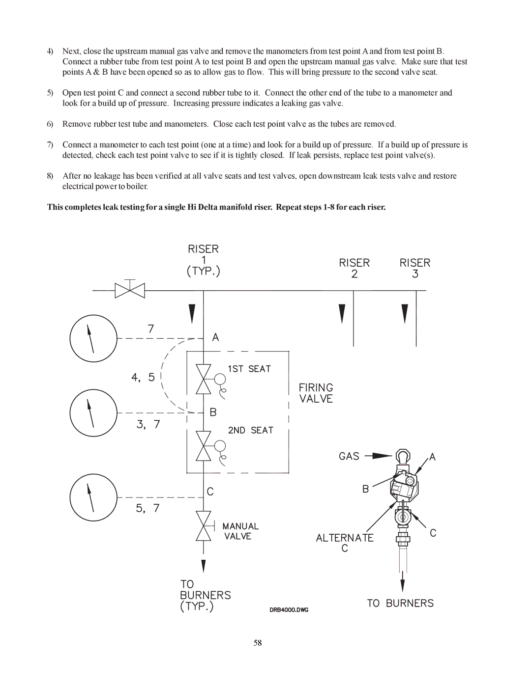 Raypak 302-902 manual 