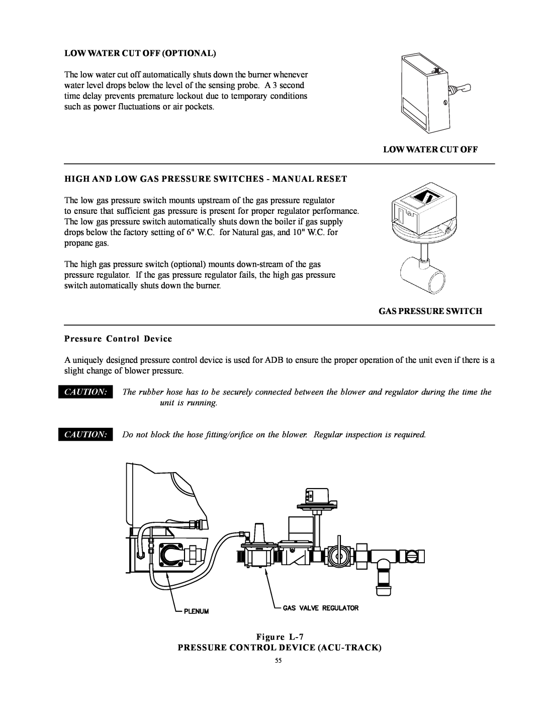 Raypak 750, 500, 1000 installation instructions Low Water Cut Off Optional 