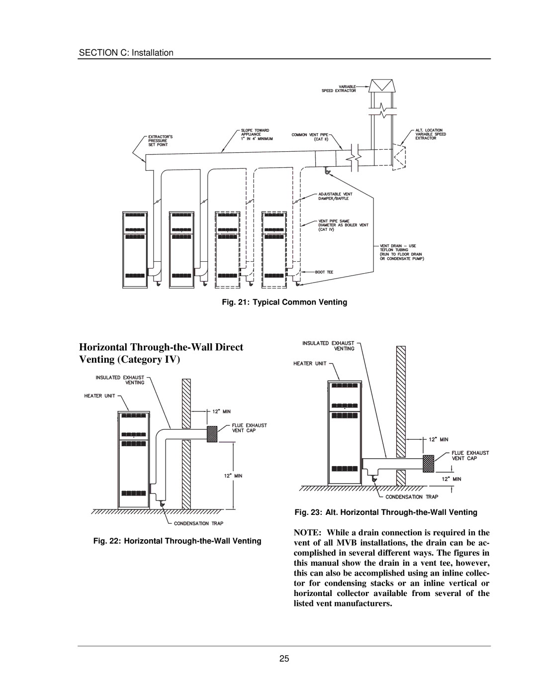 Raypak 503-2003 manual Horizontal Through-the-Wall Direct Venting Category, Typical Common Venting 