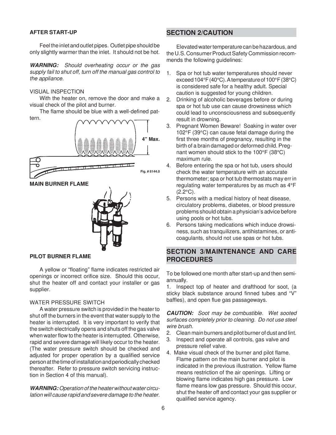 Raypak 514-824 Maintenance and Care Procedures, After START-UP, Visual Inspection, Main Burner Flame Pilot Burner Flame 