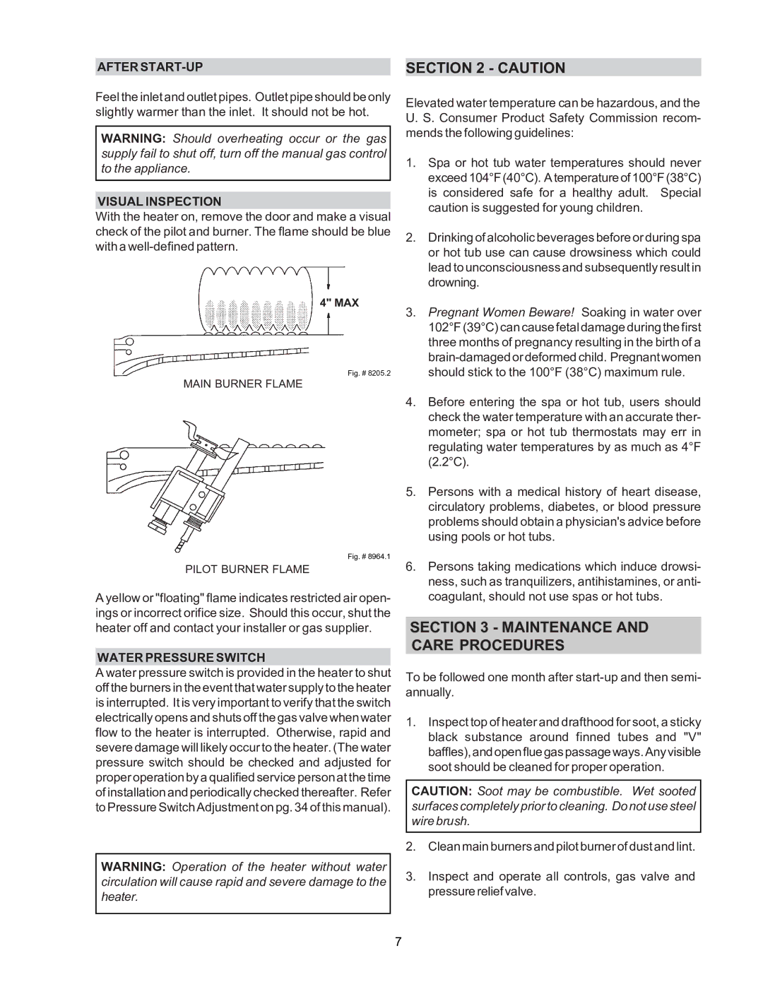 Raypak P-R185B to R-P405B, C-R185B to C-R405B, P-R185BL to P-R405BL, C-R185BL to C-R405BL Maintenance and Care Procedures 