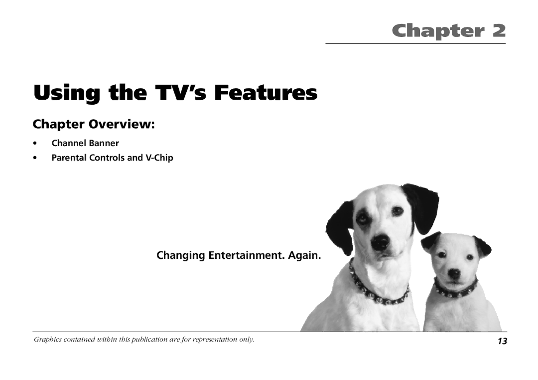 RCA F19431 manual Using the TV’s Features, Channel Banner Parental Controls and V-Chip 