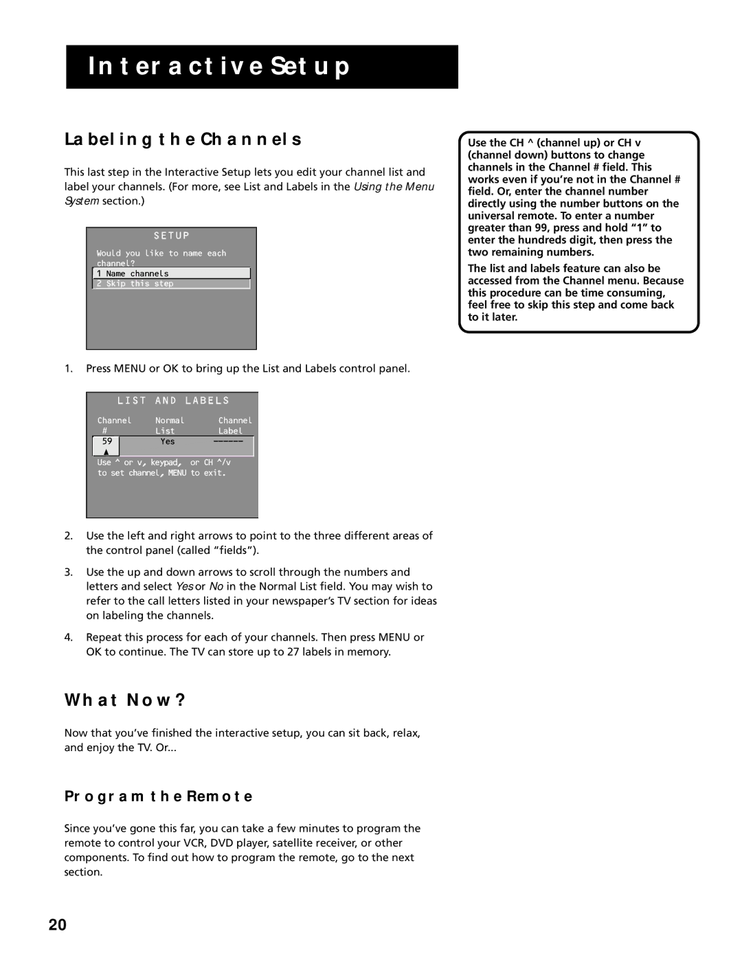 RCA F25305, F20645 manual Labeling the Channels, What NOW?, Program the Remote 