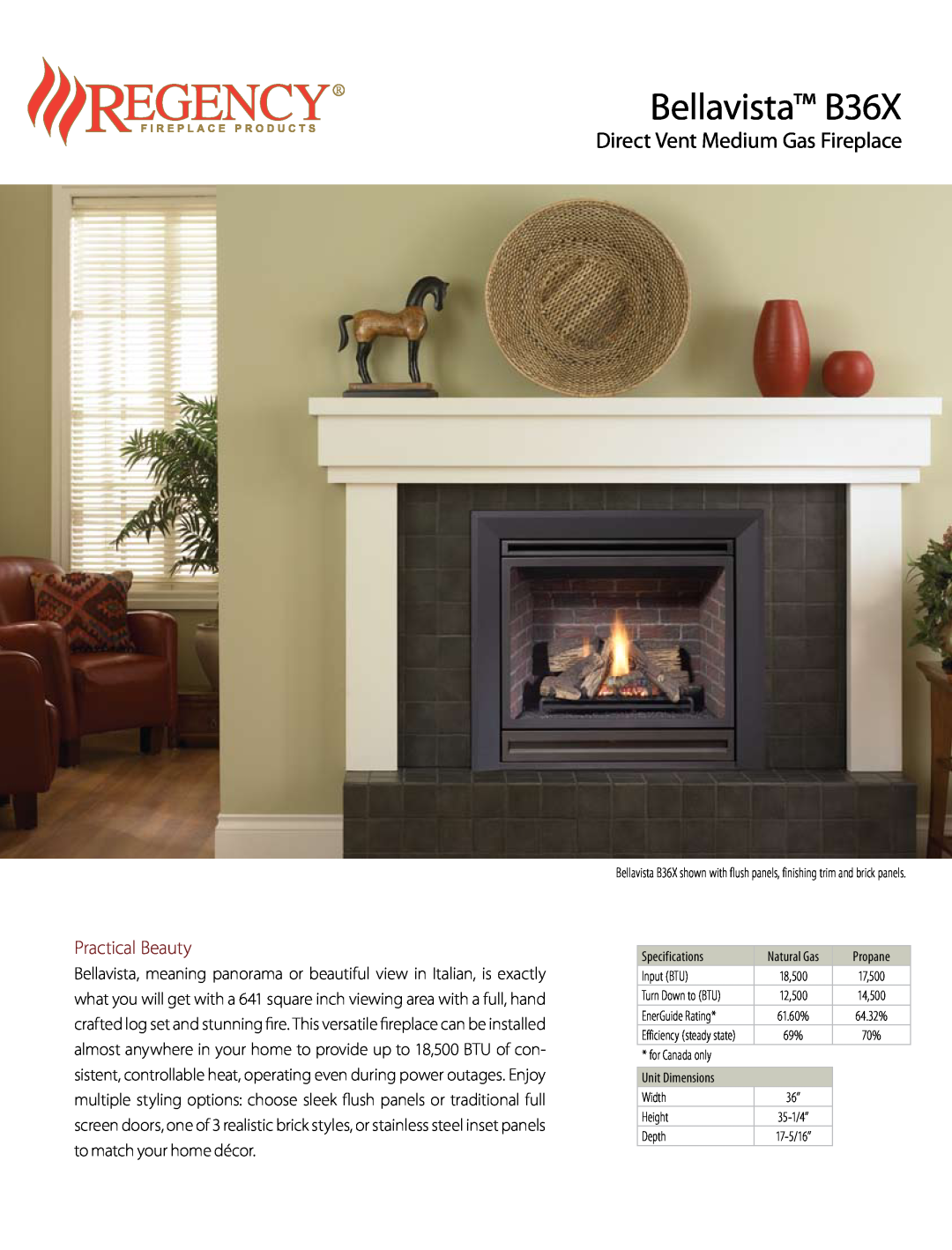 Regency Bellavista B36X specifications Direct Vent Medium Gas Fireplace, Practical Beauty 