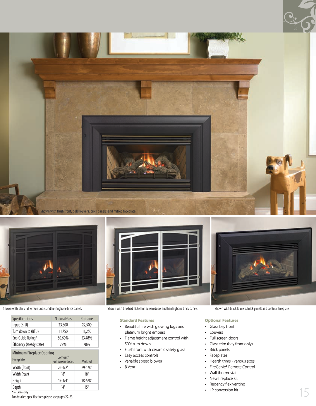 Regency 944-072, L234 manual Propane, Standard Features, Optional Features 