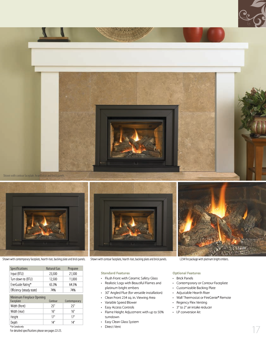 Regency 944-072 manual L234 fire package with platinum bright embers, Standard Features, Optional Features 