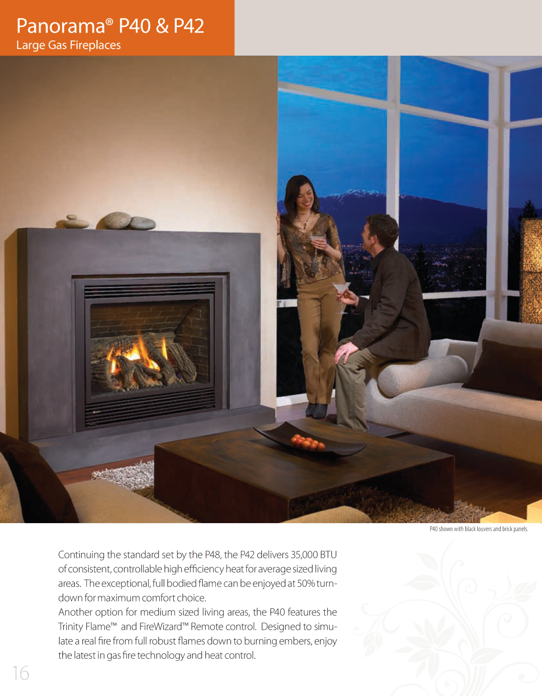 Regency L676S, P90, P95, P48, P36D, P33S manual Panorama P40 & P42, Large Gas Fireplaces 