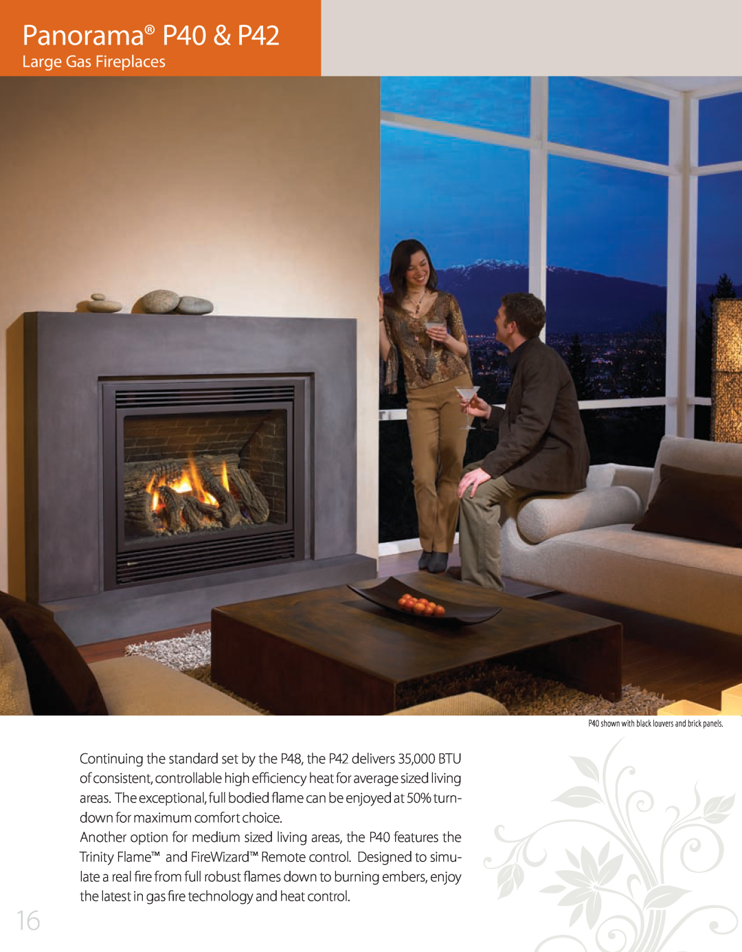 Regency L676S, P90, P95, P48, P36D, P33S manual Panorama P40 & P42, Large Gas Fireplaces 