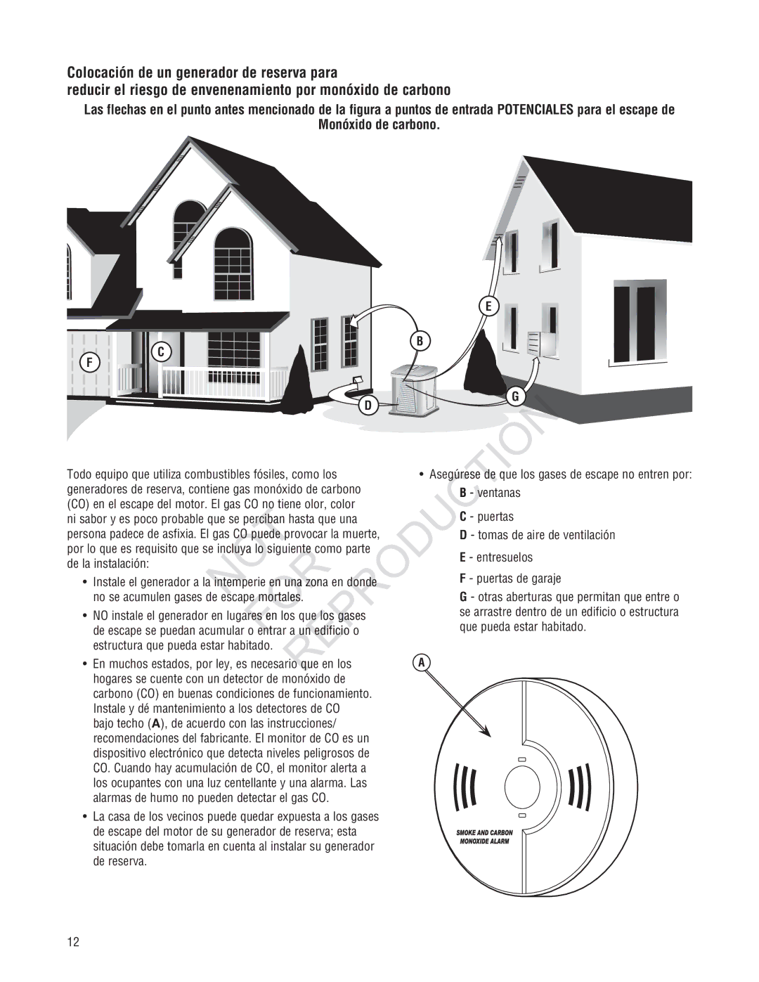 Rheem GEN12AD-V, Generator Systems installation manual Monóxido de carbono 