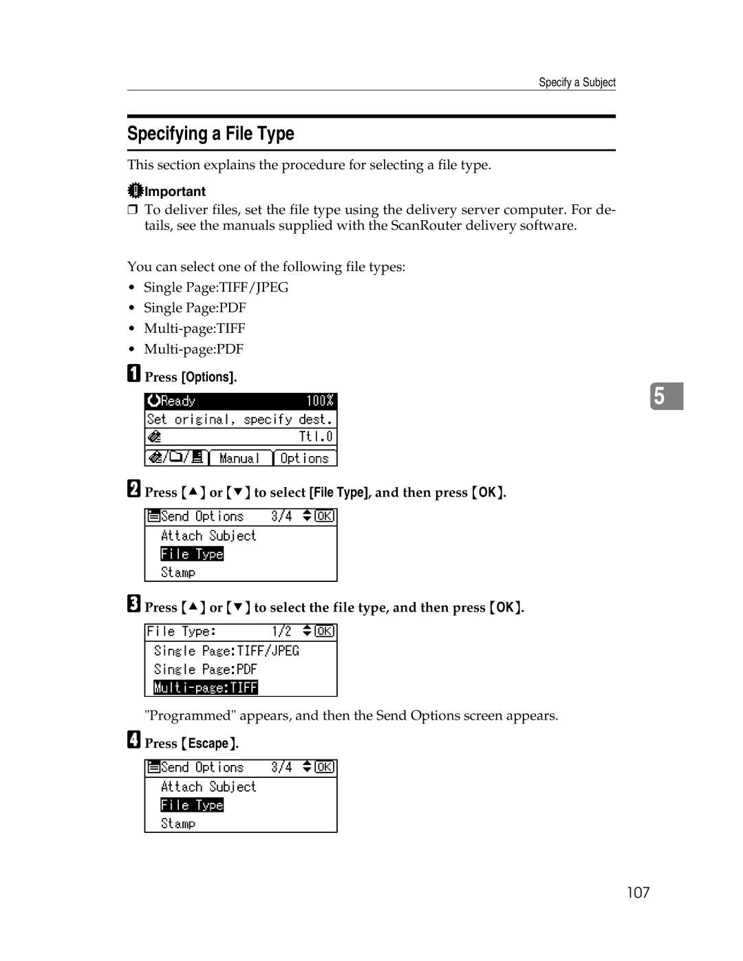 Ricoh SGC 1506/GS, 106/LD215c appendix Specifying a File Type, 107 