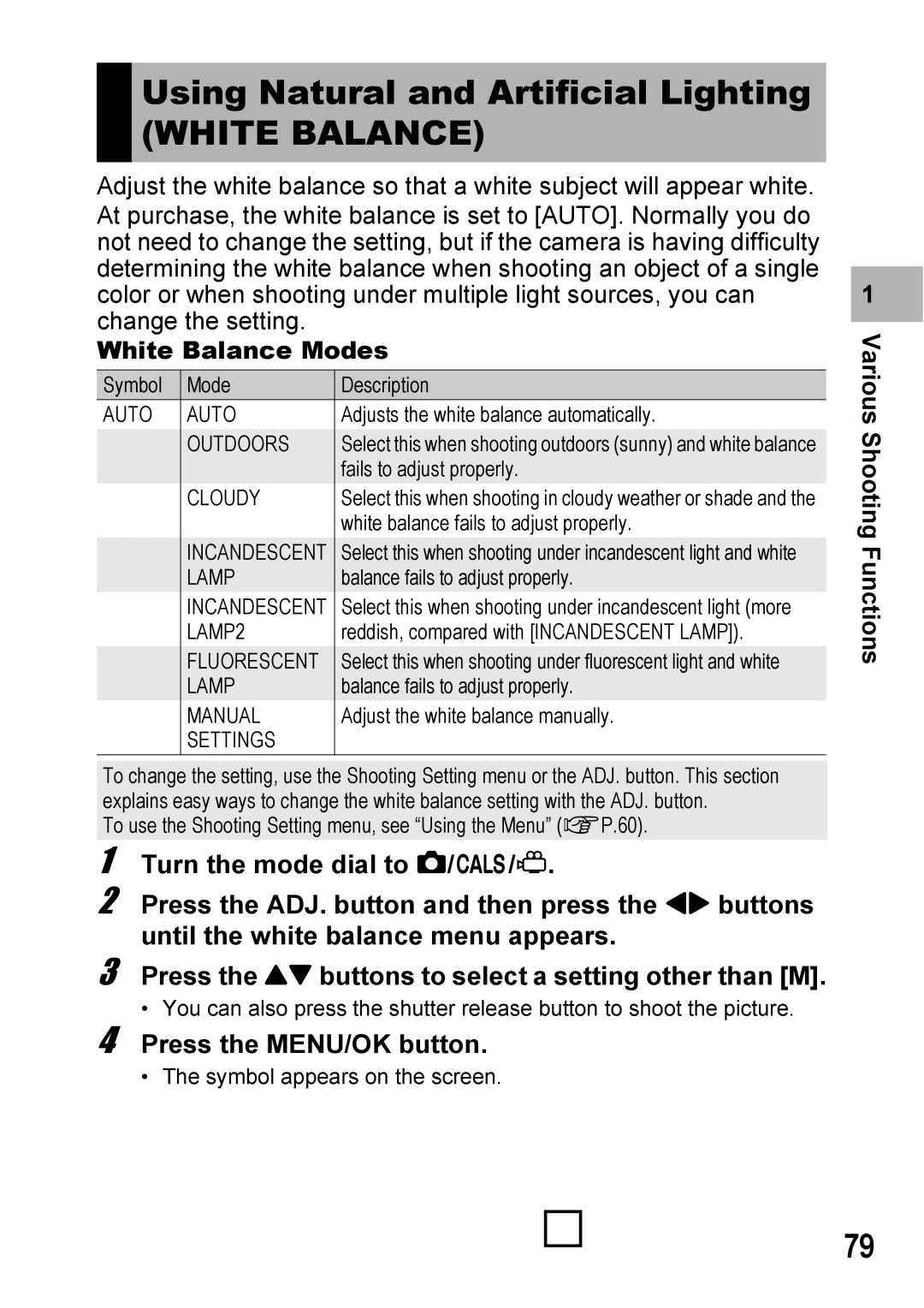 Ricoh 500SE manual Using Natural and Artificial Lighting, White Balance Modes 