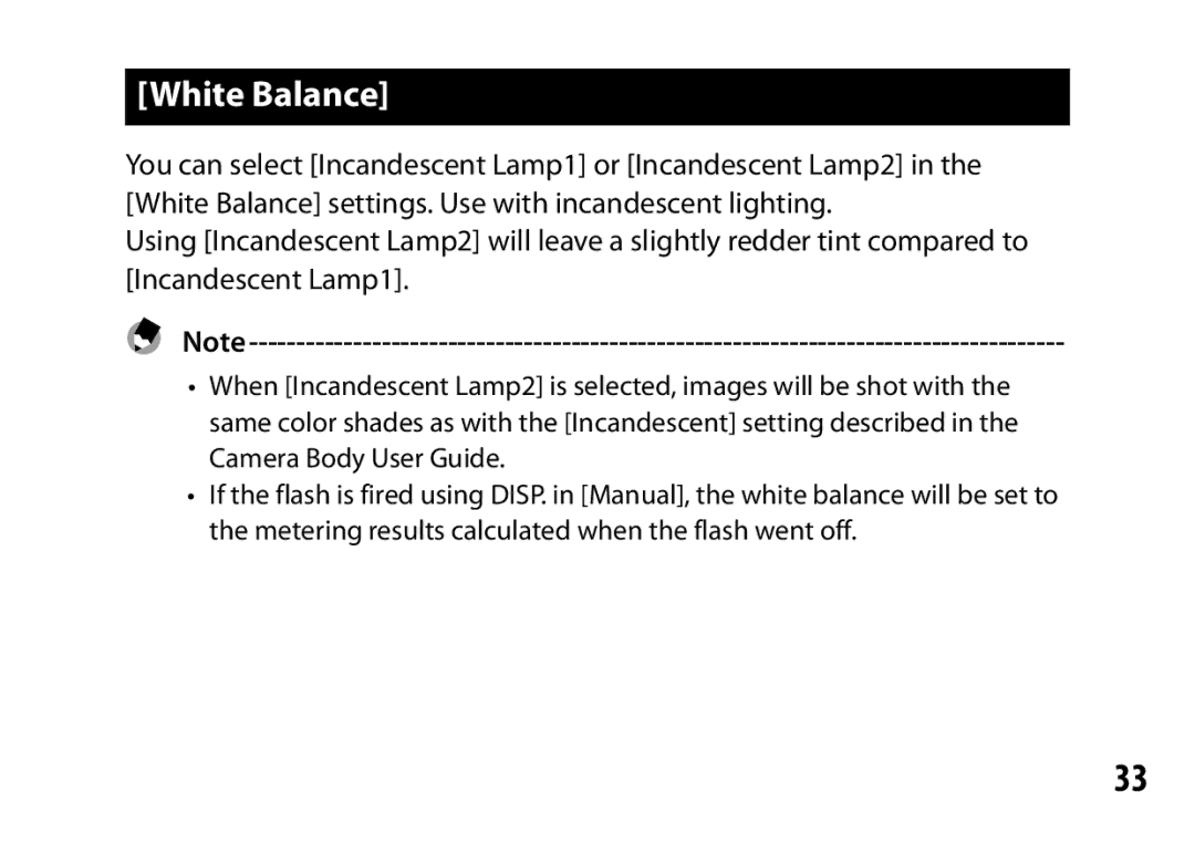 Ricoh A12 instruction manual White Balance 